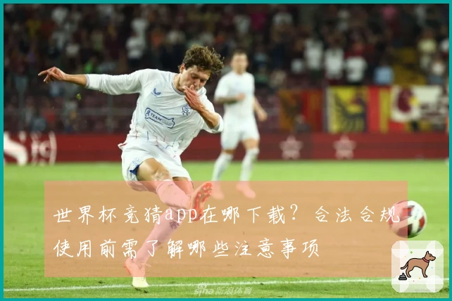 世界杯竞猜app在哪下载？合法合规使用前需了解哪些注意事项