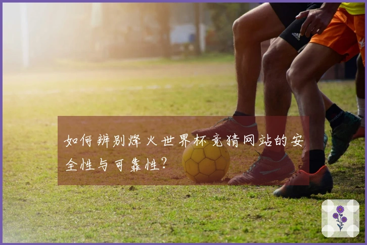 如何辨别烽火世界杯竞猜网站的安全性与可靠性？