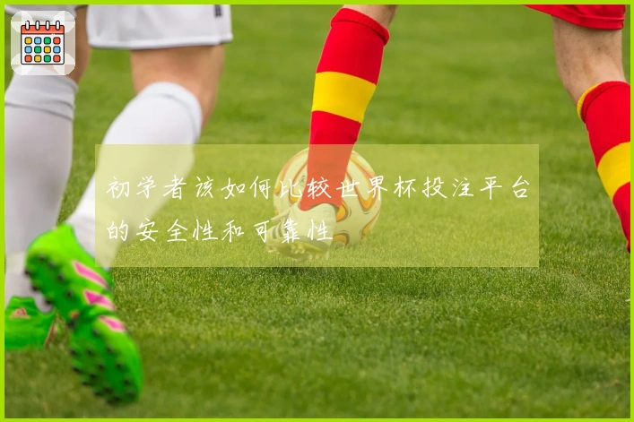 初学者该如何比较世界杯投注平台的安全性和可靠性