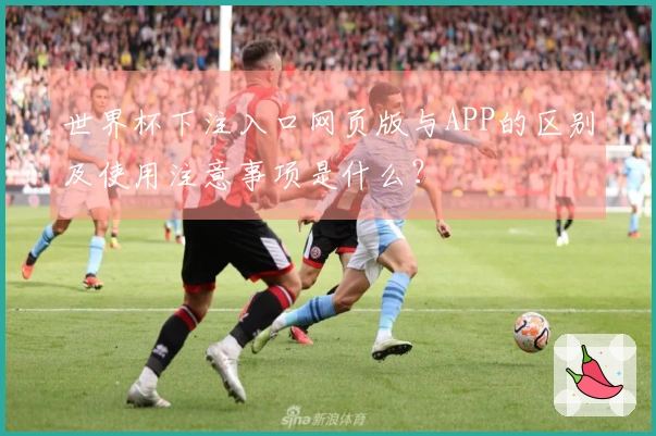 世界杯下注入口网页版与APP的区别及使用注意事项是什么？