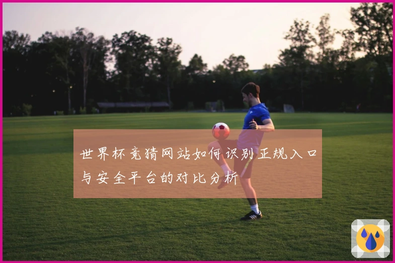 世界杯竞猜网站如何识别正规入口与安全平台的对比分析