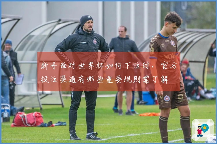 新手面对世界杯如何下注时，官方投注渠道有哪些重要规则需了解