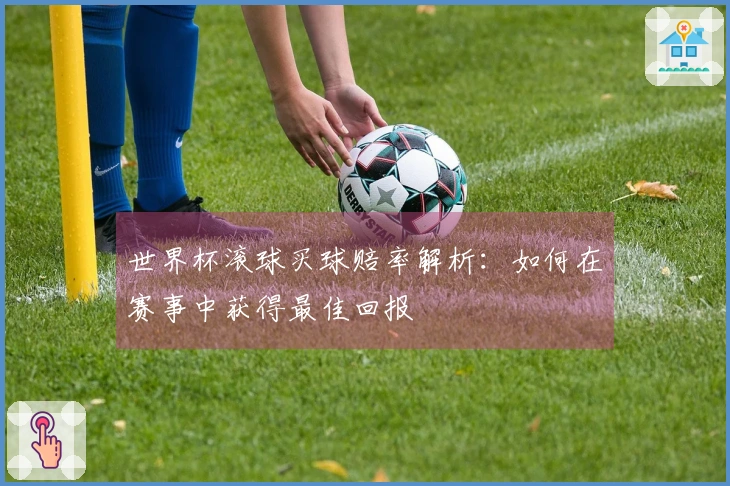 世界杯滚球买球赔率解析：如何在赛事中获得最佳回报