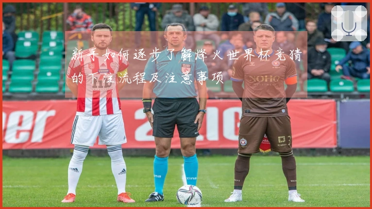 新手如何逐步了解烽火世界杯竞猜的下注流程及注意事项