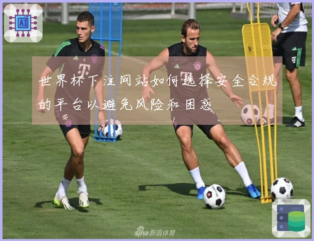 世界杯下注网站如何选择安全合规的平台以避免风险和困惑