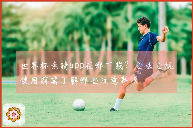 世界杯竞猜app在哪下载？合法合规使用前需了解哪些注意事项
