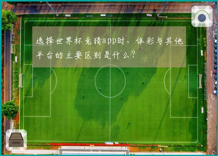 选择世界杯竞猜app时，体彩与其他平台的主要区别是什么？