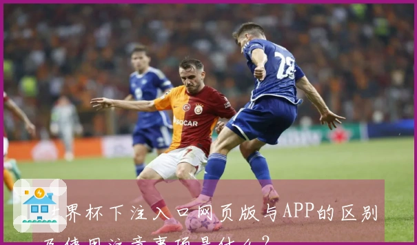 世界杯下注入口网页版与APP的区别及使用注意事项是什么？
