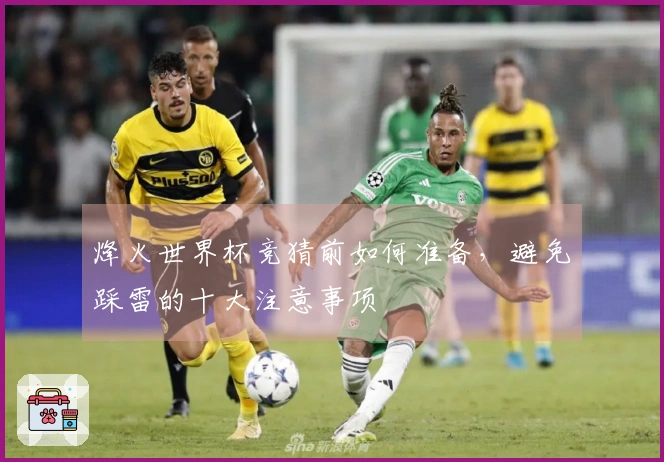 烽火世界杯竞猜前如何准备，避免踩雷的十大注意事项
