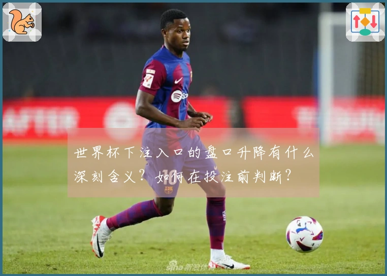 世界杯下注入口的盘口升降有什么深刻含义？如何在投注前判断？