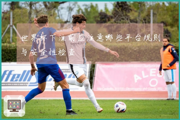 世界杯下注前应注意哪些平台规则与安全性检查