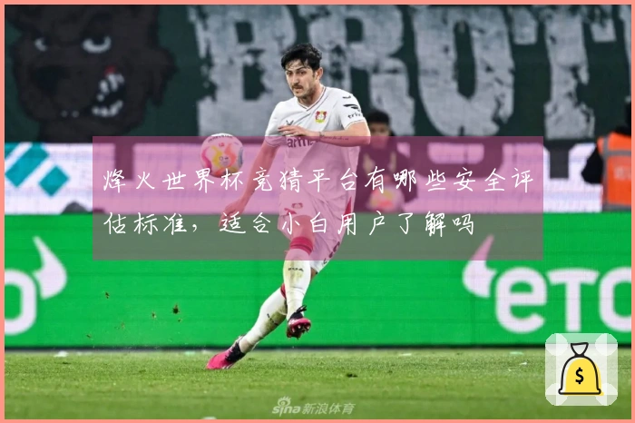 烽火世界杯竞猜平台有哪些安全评估标准，适合小白用户了解吗