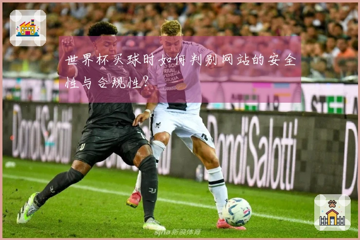 世界杯买球时如何判别网站的安全性与合规性？