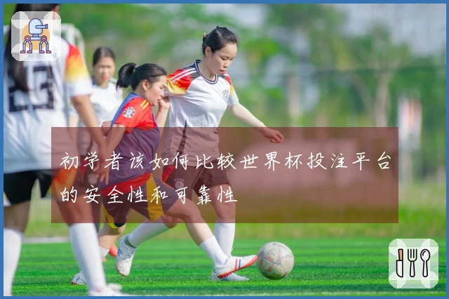 初学者该如何比较世界杯投注平台的安全性和可靠性