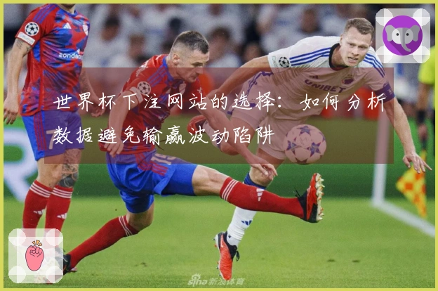 世界杯下注网站的选择：如何分析数据避免输赢波动陷阱