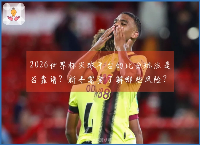 2026世界杯买球平台的比分玩法是否靠谱？新手需要了解哪些风险？