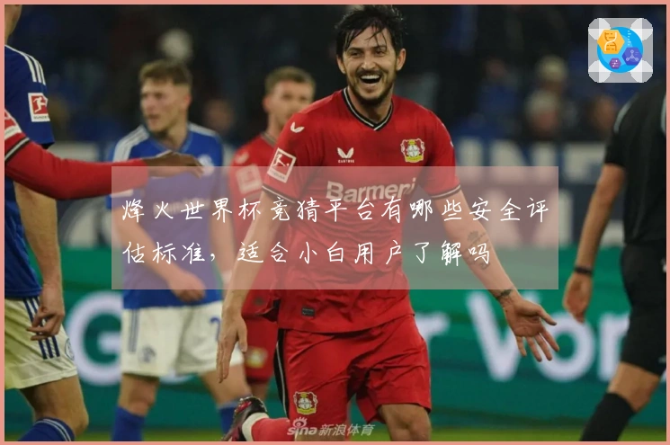 烽火世界杯竞猜平台有哪些安全评估标准，适合小白用户了解吗