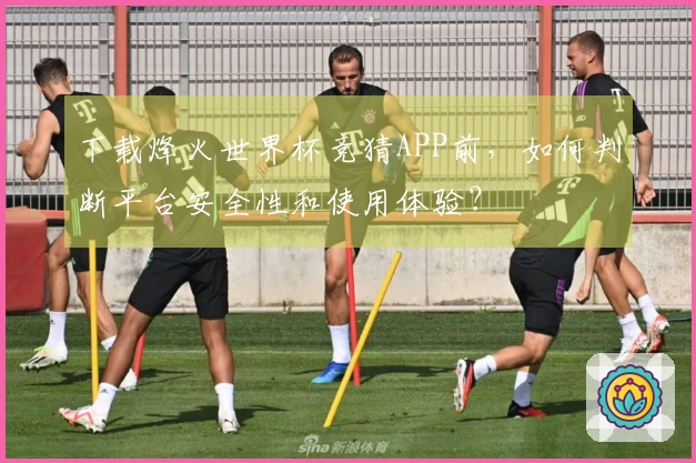 下载烽火世界杯竞猜APP前，如何判断平台安全性和使用体验？