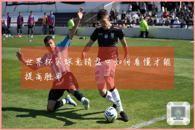 世界杯买球竞猜盘口如何看懂才能提高胜率