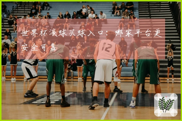 世界杯滚球买球入口：哪家平台更安全可靠