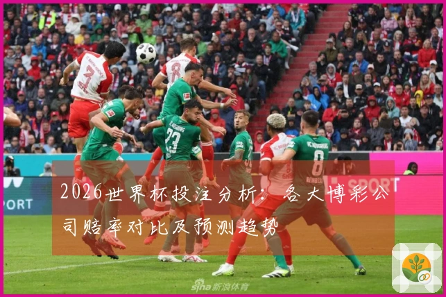 2026世界杯投注分析：各大博彩公司赔率对比及预测趋势