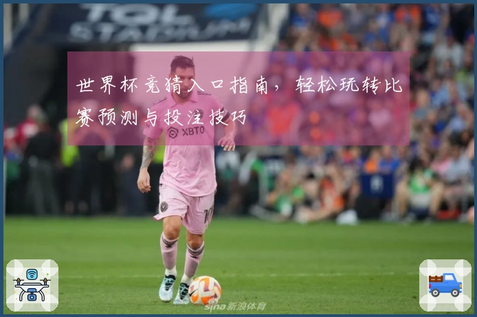 世界杯竞猜入口指南，轻松玩转比赛预测与投注技巧
