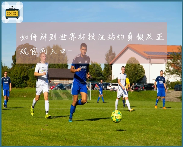 如何辨别世界杯投注站的真假及正规官网入口-