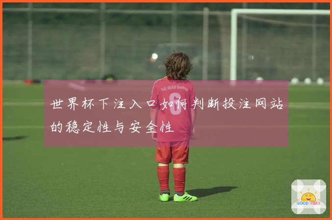 世界杯下注入口如何判断投注网站的稳定性与安全性